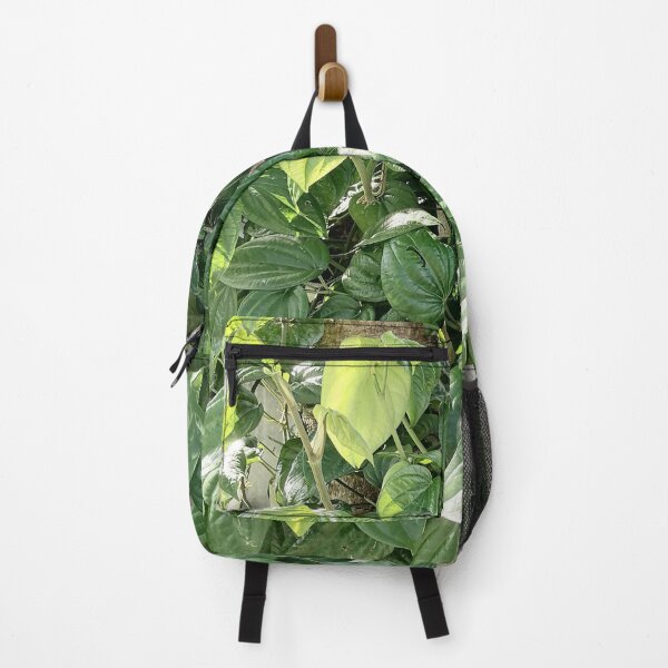Item preview, Pepper plant with glossy heart-shaped leaves designed and sold by PhuongVoArt.