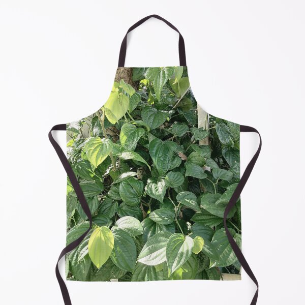 Item preview, Pepper plant with glossy heart-shaped leaves designed and sold by PhuongVoArt.