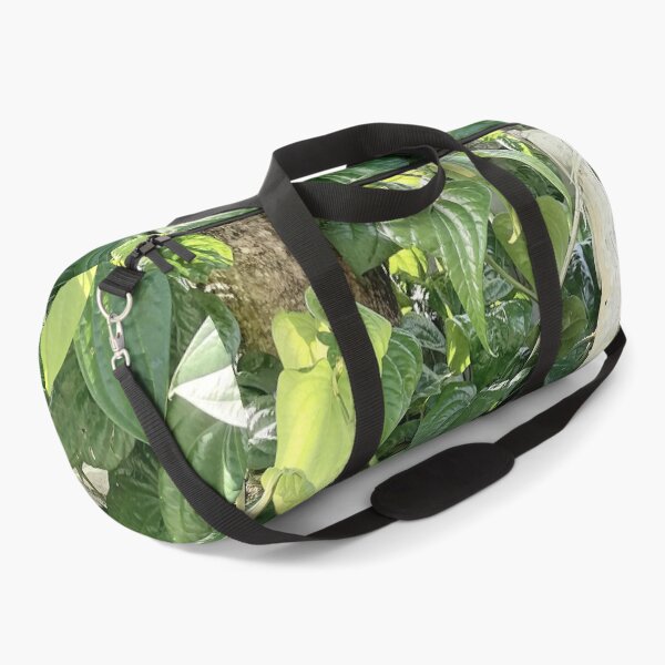 Item preview, Pepper plant with glossy heart-shaped leaves designed and sold by PhuongVoArt.