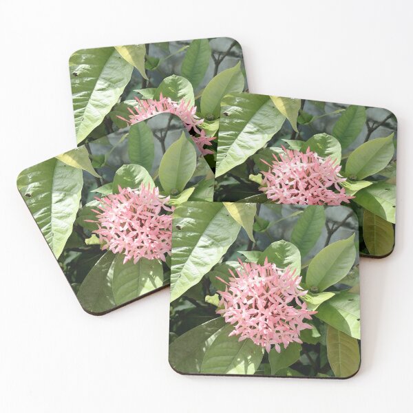 Item preview, Pink Ixora flowers in the tropical garden designed and sold by PhuongVoArt.