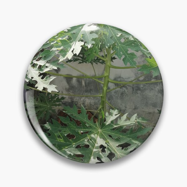 Item preview, Large green papaya leaves in the tropical garden designed and sold by PhuongVoArt.