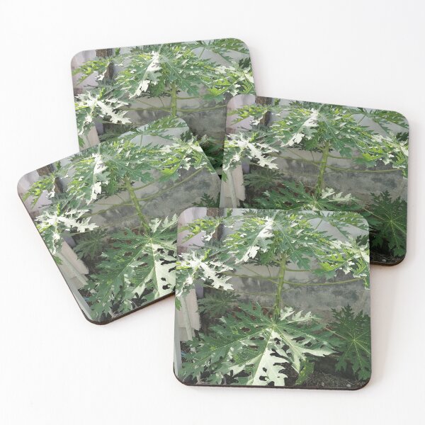 Item preview, Large green papaya leaves in the tropical garden designed and sold by PhuongVoArt.