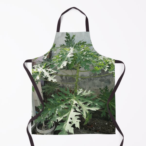 Item preview, Large green papaya leaves in the tropical garden designed and sold by PhuongVoArt.