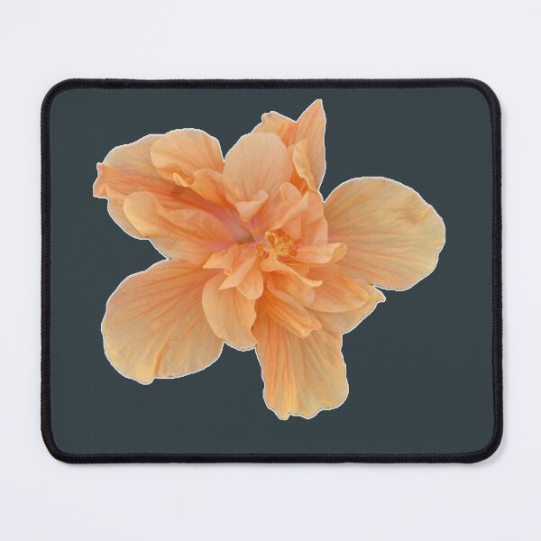 Item preview, Hibiscus  designed and sold by PITBULLEE.