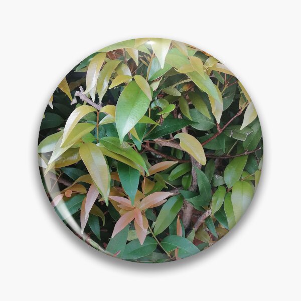Item preview, Golden and green leaves of an ornamental hedge designed and sold by PhuongVoArt.
