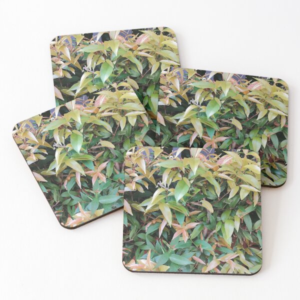 Item preview, Golden and green leaves of an ornamental hedge designed and sold by PhuongVoArt.