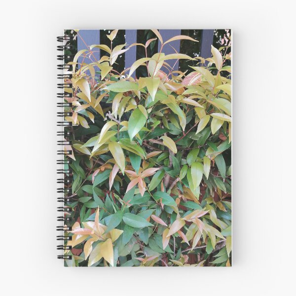 Item preview, Golden and green leaves of an ornamental hedge designed and sold by PhuongVoArt.