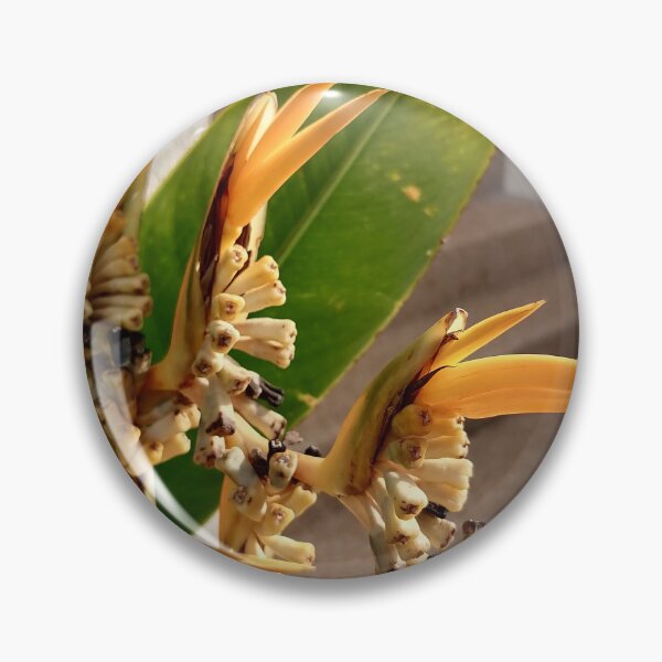 Item preview, Orange tropical ginger flowers with green leaves designed and sold by PhuongVoArt.