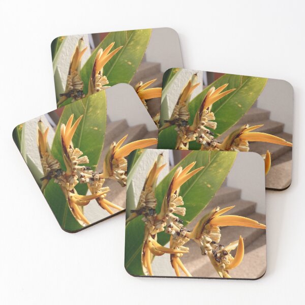 Item preview, Orange tropical ginger flowers with green leaves designed and sold by PhuongVoArt.