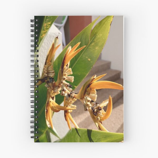 Item preview, Orange tropical ginger flowers with green leaves designed and sold by PhuongVoArt.