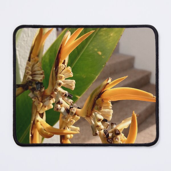 Item preview, Orange tropical ginger flowers with green leaves designed and sold by PhuongVoArt.