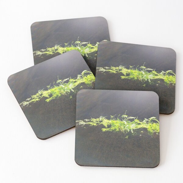 Item preview, Ferns in the light designed and sold by KNBS.