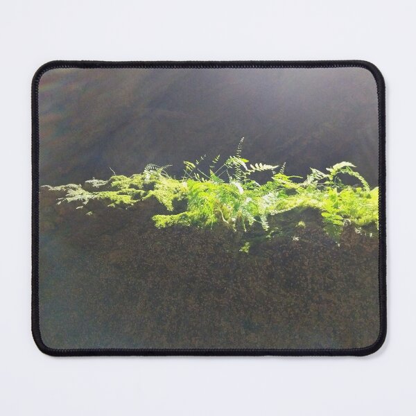 Item preview, Ferns in the light designed and sold by KNBS.