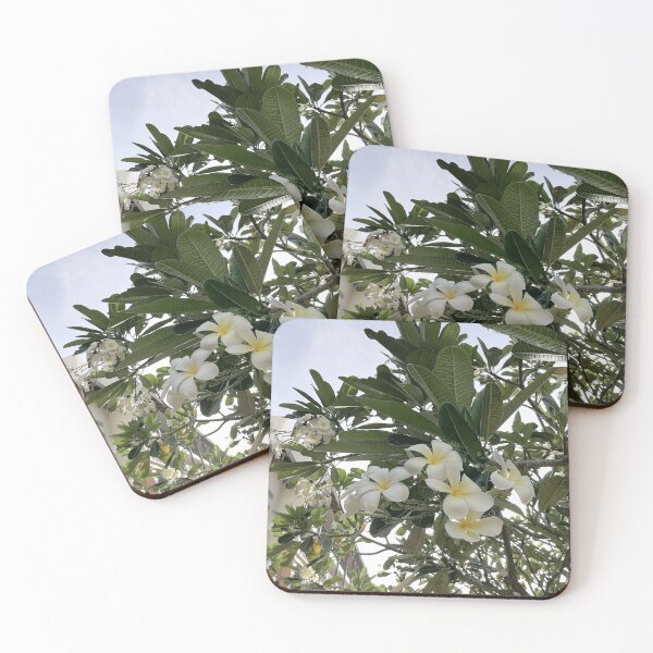 Item preview, White frangipani blossoms on a tropical tree designed and sold by PhuongVoArt.