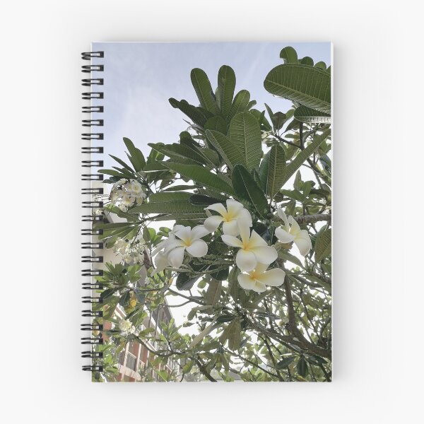 Item preview, White frangipani blossoms on a tropical tree designed and sold by PhuongVoArt.
