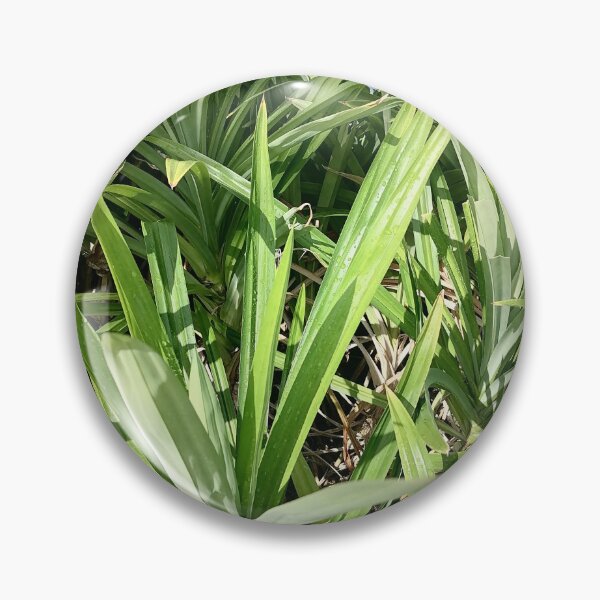 Item preview, Green tropical leaves with water droplets in the garden designed and sold by PhuongVoArt.