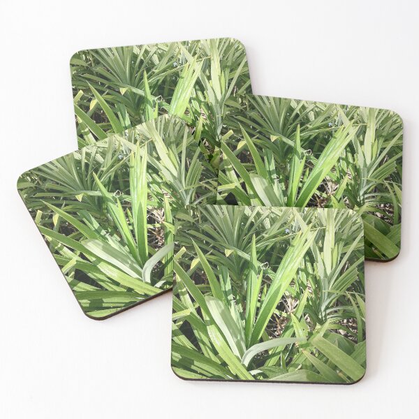 Item preview, Green tropical leaves with water droplets in the garden designed and sold by PhuongVoArt.