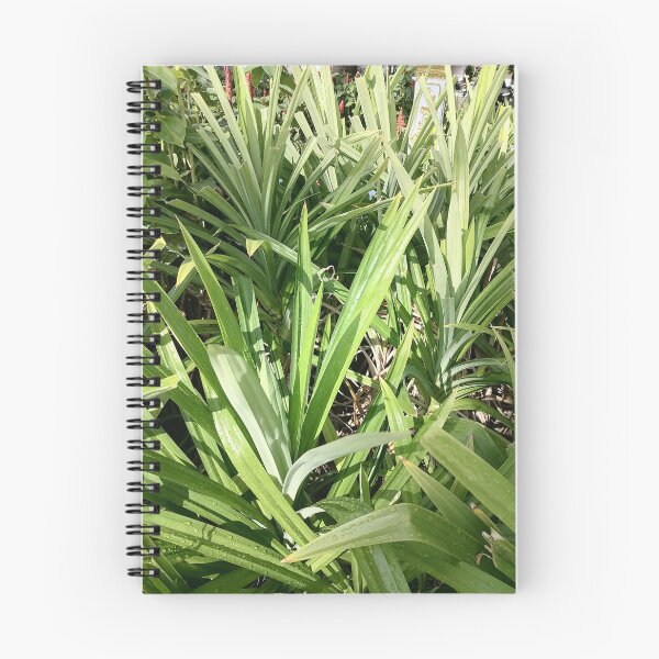 Item preview, Green tropical leaves with water droplets in the garden designed and sold by PhuongVoArt.