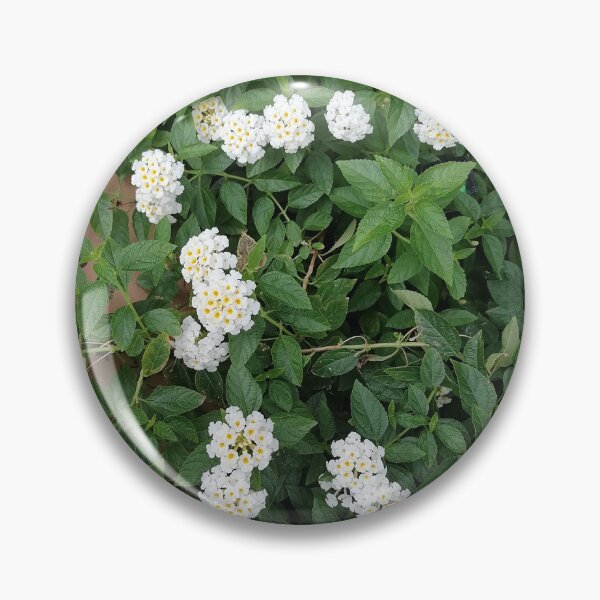 Item preview, White lantana blossoms in the garden designed and sold by PhuongVoArt.