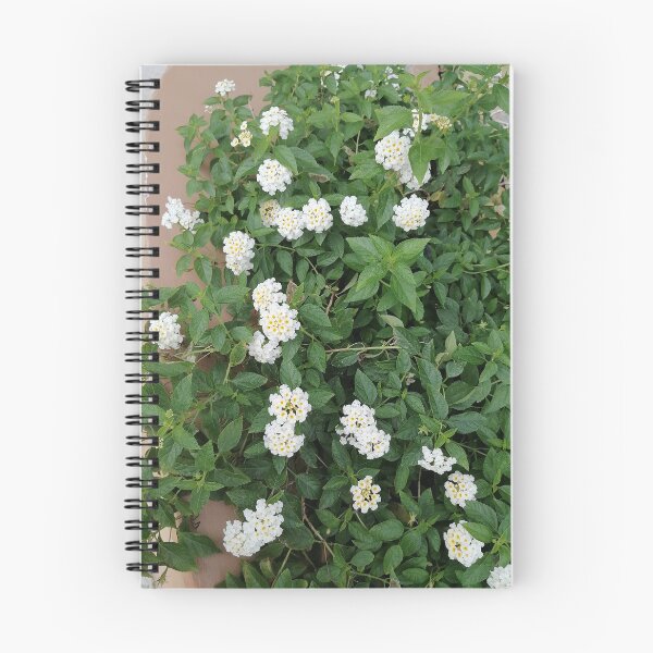 Item preview, White lantana blossoms in the garden designed and sold by PhuongVoArt.