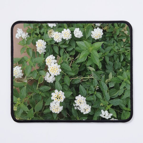 Item preview, White lantana blossoms in the garden designed and sold by PhuongVoArt.