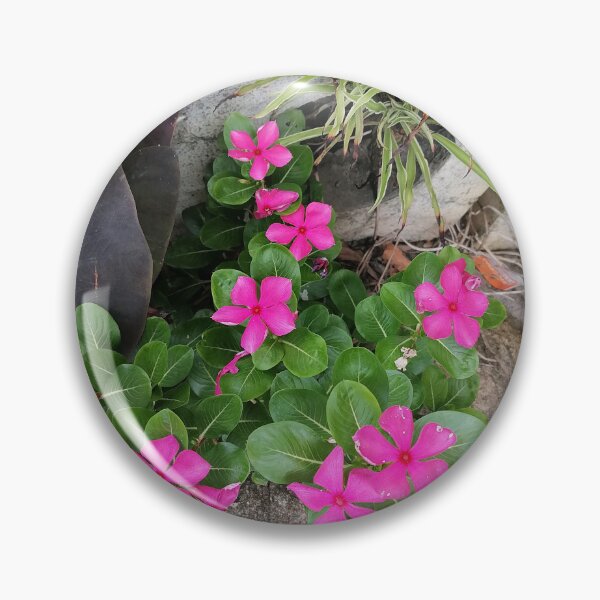 Item preview, Pink periwinkle flowers in a tropical garden designed and sold by PhuongVoArt.