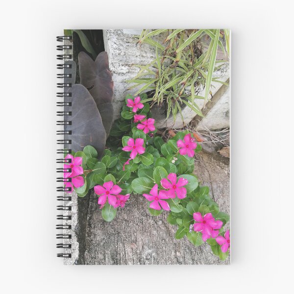 Item preview, Pink periwinkle flowers in a tropical garden designed and sold by PhuongVoArt.