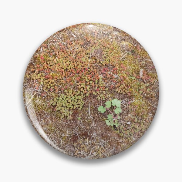 Item preview, Moss floor designed and sold by KNBS.