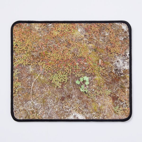 Item preview, Moss floor designed and sold by KNBS.
