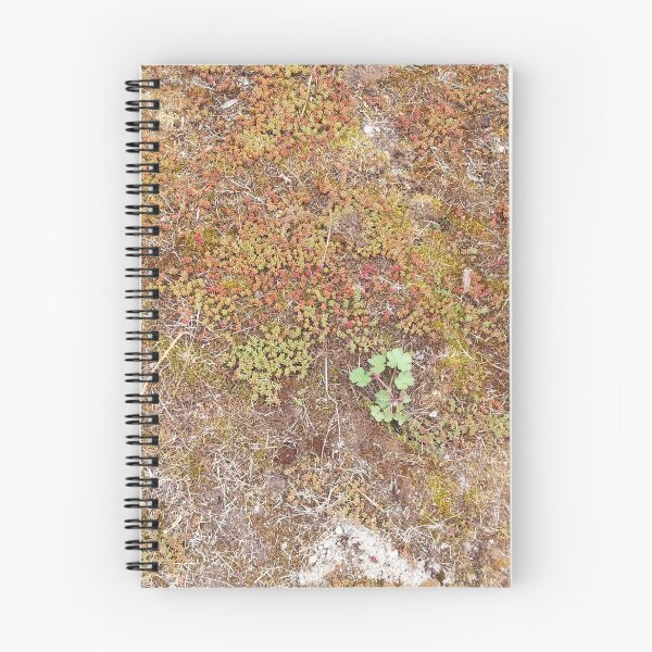 Item preview, Moss floor designed and sold by KNBS.