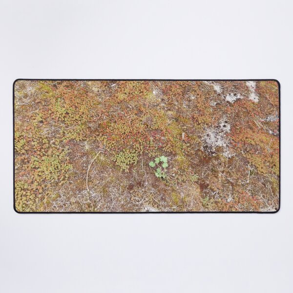 Item preview, Moss floor designed and sold by KNBS.