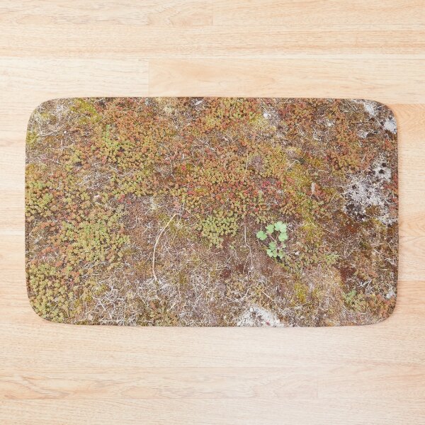 Item preview, Moss floor designed and sold by KNBS.