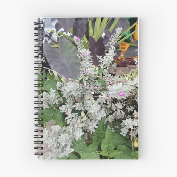 Item preview, Silver-leaved ornamental plant with pink flowers designed and sold by PhuongVoArt.