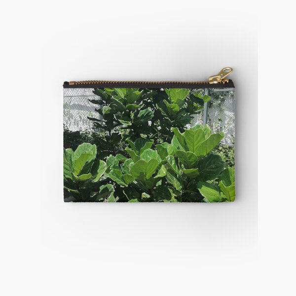 Item preview, Fiddle-leaf fig with large green leaves in the garden designed and sold by PhuongVoArt.