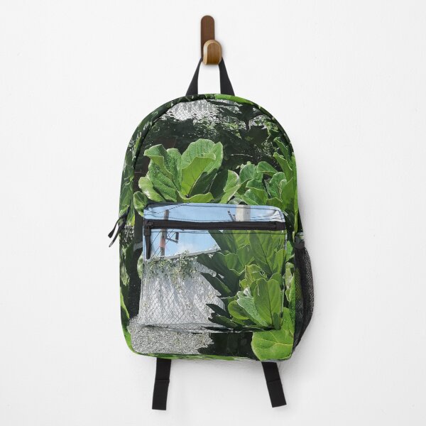 Item preview, Fiddle-leaf fig with large green leaves in the garden designed and sold by PhuongVoArt.