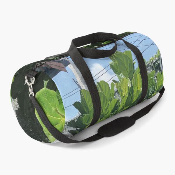 Item preview, Fiddle-leaf fig with large green leaves in the garden designed and sold by PhuongVoArt.