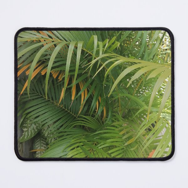 Item preview, Bamboo palm with lush green fronds designed and sold by PhuongVoArt.