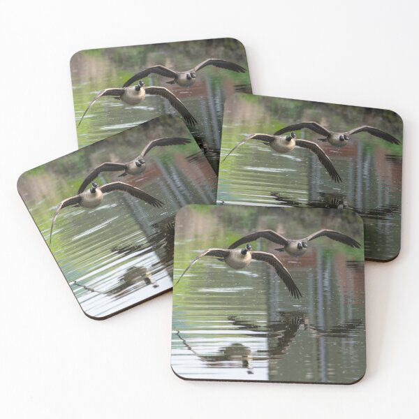 Item preview, Two geese flying  designed and sold by Stephen Jarman.