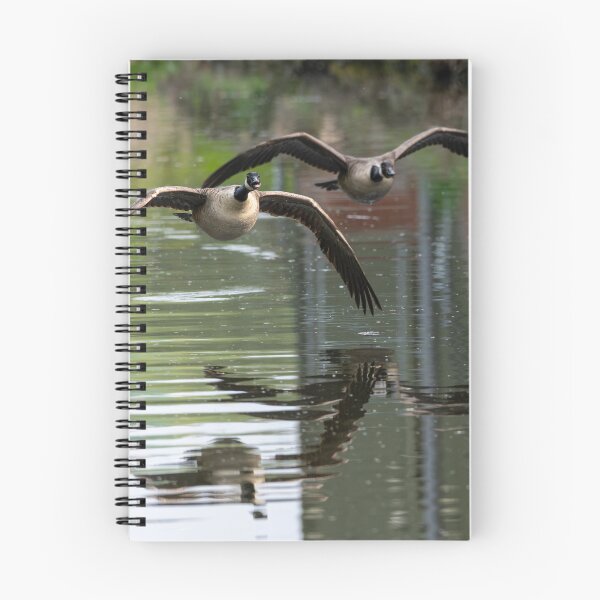 Item preview, Two geese flying  designed and sold by Stephen Jarman.