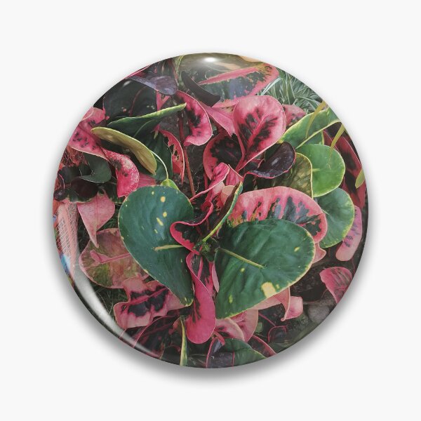 Item preview, Variegated croton with red, pink and green leaves designed and sold by PhuongVoArt.