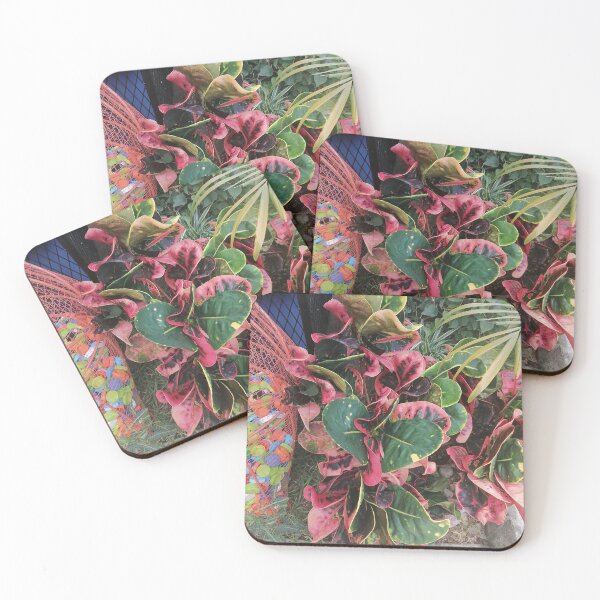 Item preview, Variegated croton with red, pink and green leaves designed and sold by PhuongVoArt.