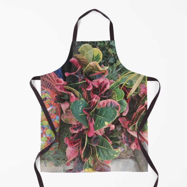 Item preview, Variegated croton with red, pink and green leaves designed and sold by PhuongVoArt.