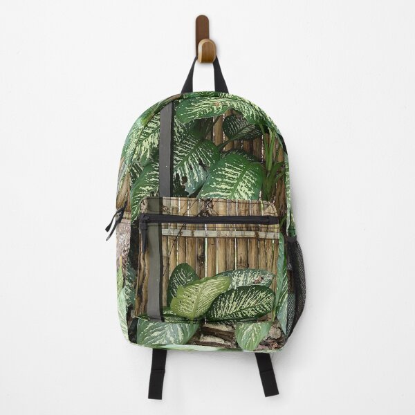 Item preview, Dieffenbachia with decoratively variegated leaves designed and sold by PhuongVoArt.