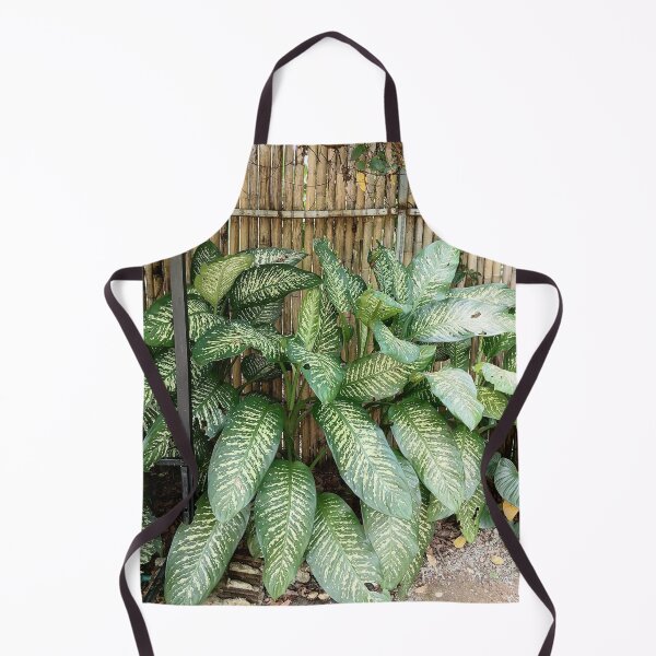 Item preview, Dieffenbachia with decoratively variegated leaves designed and sold by PhuongVoArt.