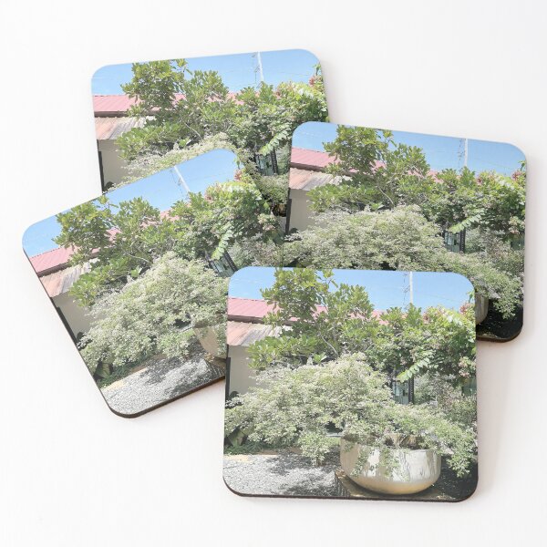 Item preview, Bonsai with lush green foliage in a tropical garden designed and sold by PhuongVoArt.