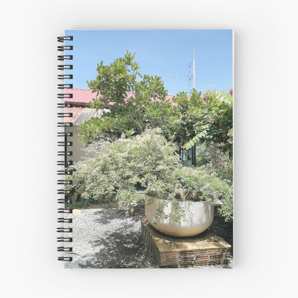 Item preview, Bonsai with lush green foliage in a tropical garden designed and sold by PhuongVoArt.