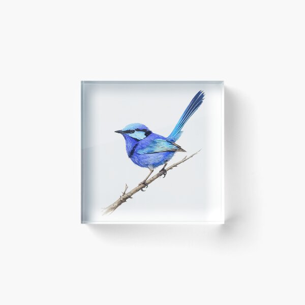 Item preview, Splendid Fairy-wren Watercolour Illustration designed and sold by Jaruart.