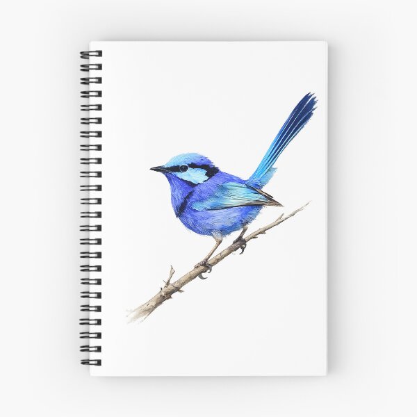 Item preview, Splendid Fairy-wren Watercolour Illustration designed and sold by Jaruart.