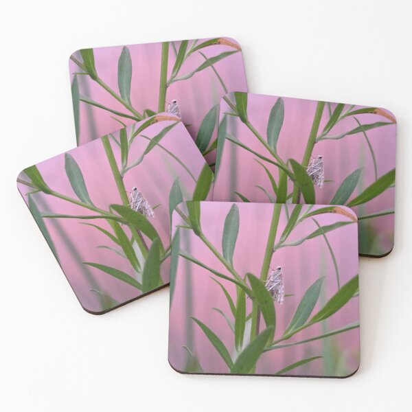 Item preview, Pink of the morning designed and sold by LainaCoopPhotos.