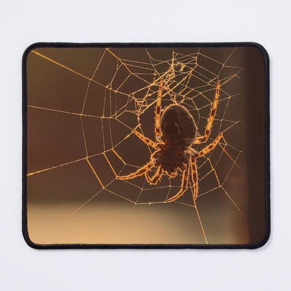 Item preview, Golden Spider designed and sold by LainaCoopPhotos.